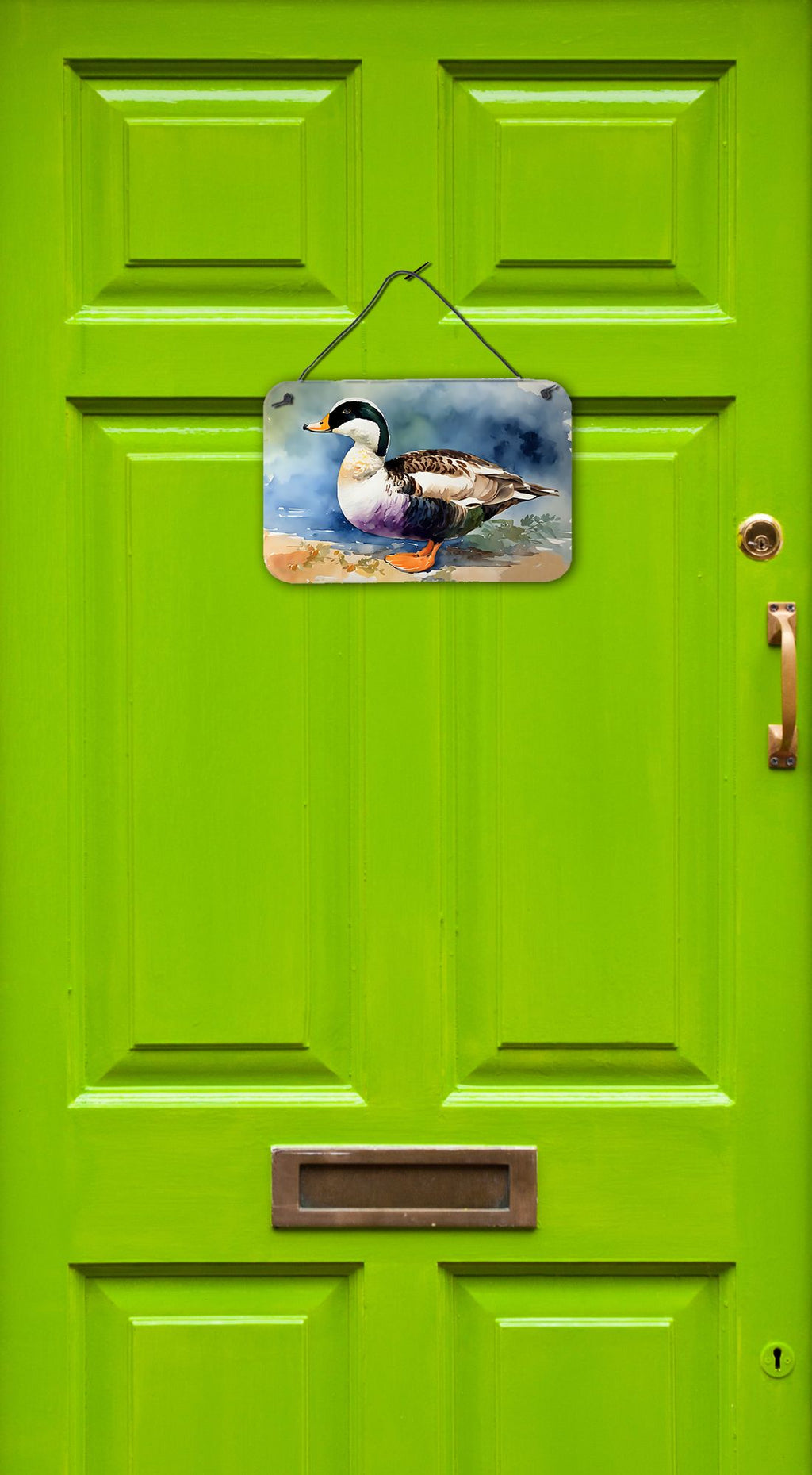 NEW Common Eider Duck Wall or Door Hanging Prints Aluminum Metal Sign Kitchen Wall Bar Bathroom Plaque Home Decor, 8HX12W, Multicolor