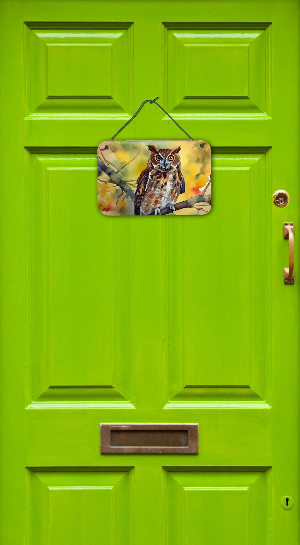 NEW Eastern Screech Owl Wall or Door Hanging Prints Aluminum Metal Sign Kitchen Wall Bar Bathroom Plaque Home Decor, 8HX12W, Multicolor
