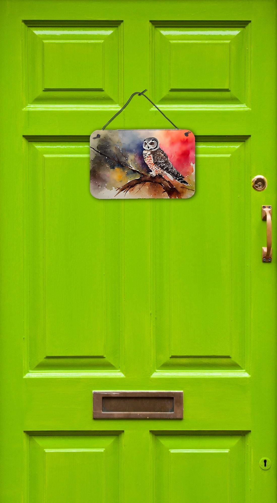 NEW Northern Hawk Owl Wall or Door Hanging Prints Aluminum Metal Sign Kitchen Wall Bar Bathroom Plaque Home Decor, 8HX12W, Multicolor