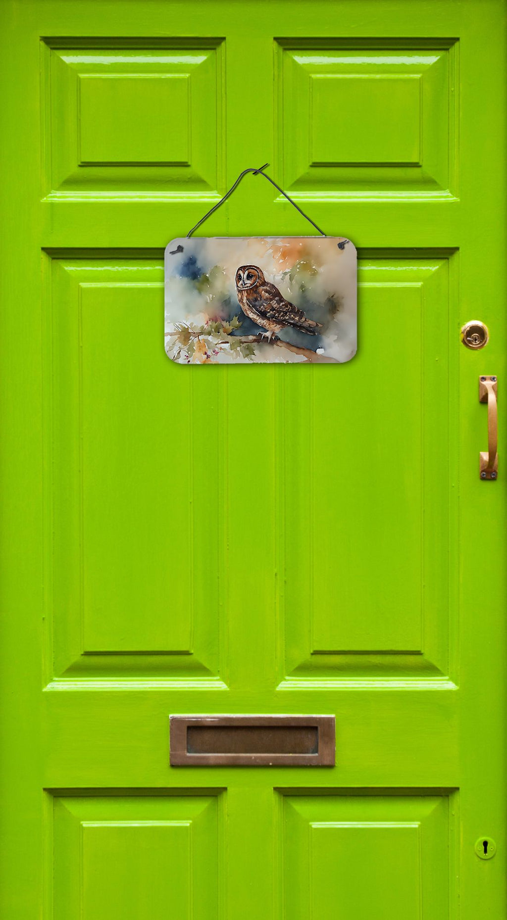 NEW Tawny Owl Wall or Door Hanging Prints Aluminum Metal Sign Kitchen Wall Bar Bathroom Plaque Home Decor, 8HX12W, Multicolor