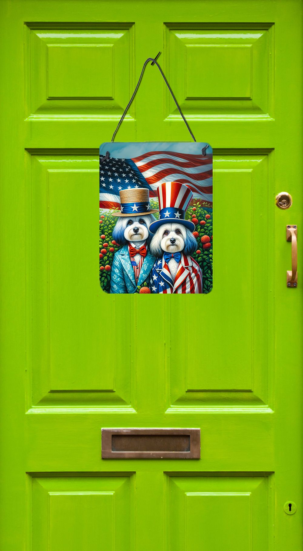 NEW All American Havanese Wall or Door Hanging Prints Aluminum Metal Sign Kitchen Wall Bar Bathroom Plaque Home Decor Front Door Plaque, 12x16, Multicolor