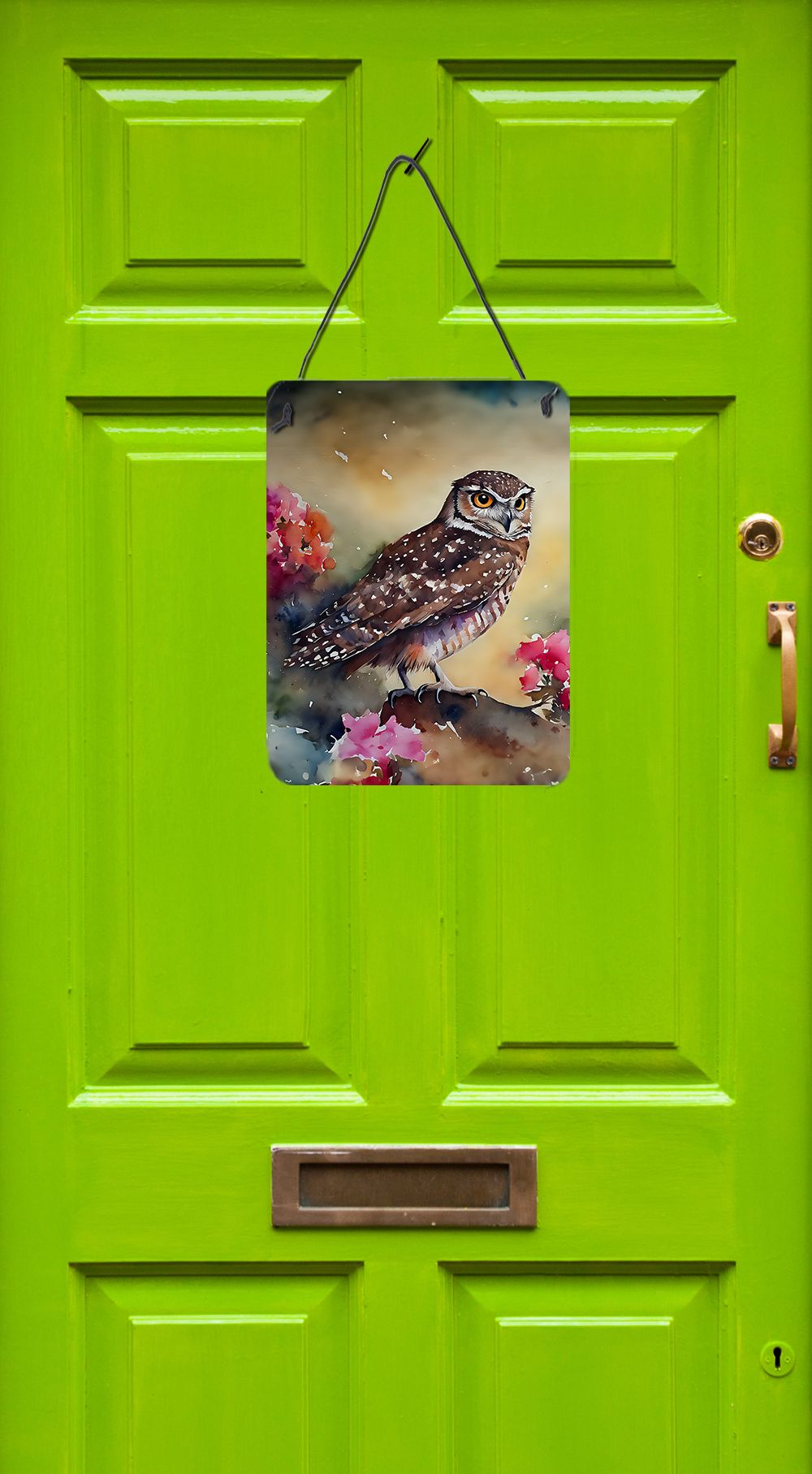 NEW Burrowing Owl Wall or Door Hanging Prints Aluminum Metal Sign Kitchen Wall Bar Bathroom Plaque Home Decor Front Door Plaque, 12x16, Multicolor