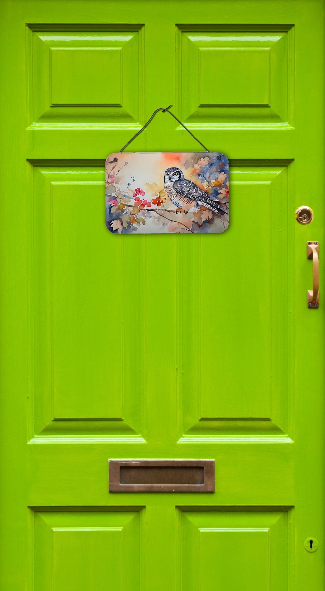 NEW Northern Hawk Owl Wall or Door Hanging Prints Aluminum Metal Sign Kitchen Wall Bar Bathroom Plaque Home Decor, 8HX12W, Multicolor